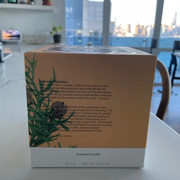 NWT LOEWE Medium Cypress Balls Candle (blue terracotta vessel) - Picture 7 of 8